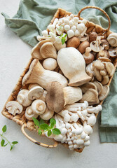 Assortment of various raw mushrooms
