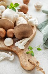Assortment of various mushrooms