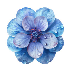 Close-up of a vibrant blue flower with water droplets on petals, showcasing nature's beauty and freshness in an intricate design.