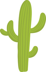 Mexican desert cactus green cartoon collection flora flora. Illustration of green mexican flora, flower plant succulent collection vector