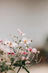 Obraz premium Wildflowers