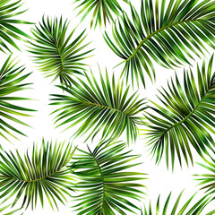 Obraz premium vector art pattern leaf of coconut