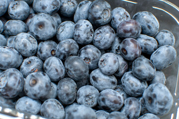 Fresh blueberry in plastic container