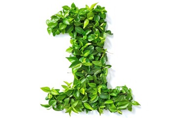 Number 1 in shape of green grass and leaves Isolated on white background