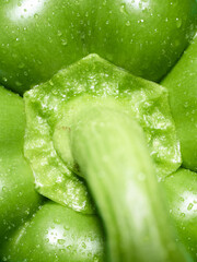 Green paprika close up shot