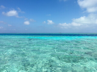 beach with turquoise water