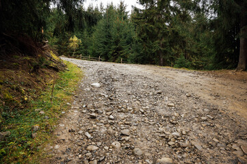 Mountain path among trees and open areas in the Carpathian Mountains. Beautiful nature landscape. Ukraine