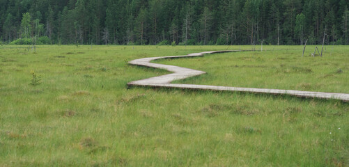 wooden walkway on educational nature trail in the protected fen landscape