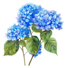 Watercolor Painting of Hydrangeas with Delicate Brushstrokes and Vibrant Colors - 1