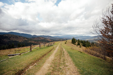 Mountain path among trees and open areas in the Carpathian Mountains. Beautiful nature landscape. Ukraine