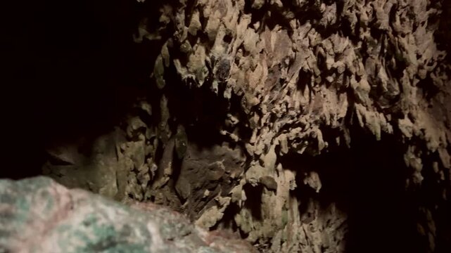 A large prehistoric cave