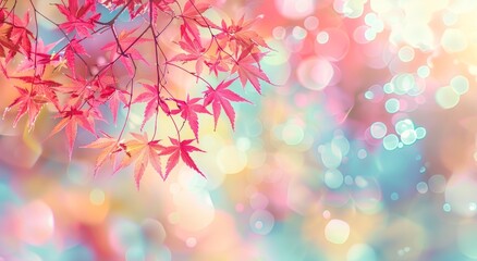 Fototapeta premium Autumn background with red Japanese maple leaves 