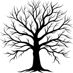 Obraz premium silhouette of tree