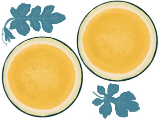 黄色い種なしスイカの輪切りイラスト