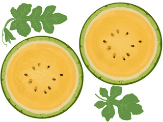 黄色いスイカの輪切りイラスト