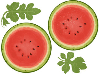 輪切りのスイカのイラスト
