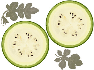 白い果肉のスイカの輪切り