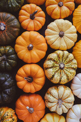 Many colorful mini pumpkins and gourds, view from above. Fall texture for background. Halloween or Thanksgiving celebration.