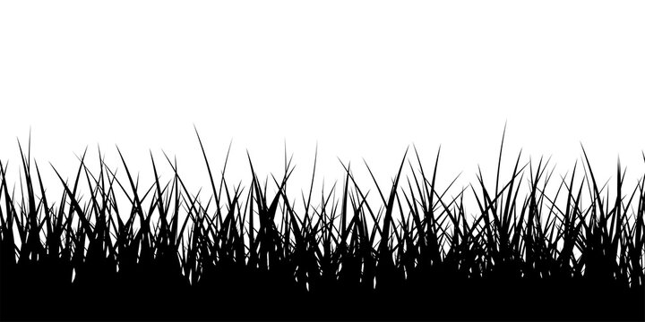 Black border silhouette grass seamless texture Isolated PNG