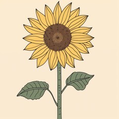 Fototapeta premium A minimalist contour drawing of a sunflower, with a vector illustration in flat style