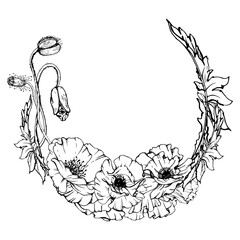 Hand drawn vector graphic botanical illustration flowers leaves. Red poppy papaver, stems buds seedpods. Wreath frame isolated white background. Design wedding, love cards, remembrance day stationery