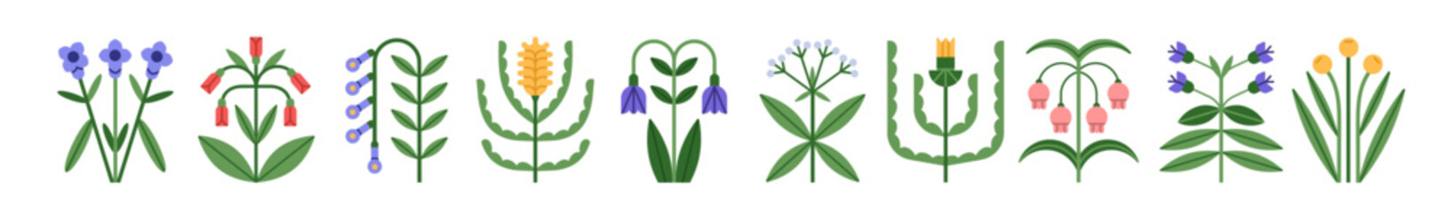 Floral branches set. Blooming flowers icons. Modern style natural botanical elements. Field plants in geometric shape. Wildflower blossoms. Flat vector illustration isolated on white background