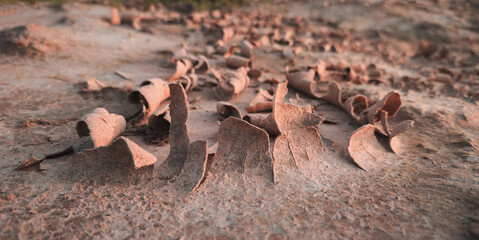 Wall texture soil dry crack pattern of drought lack of water of nature brown old broken.