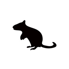 Mouse silhouette