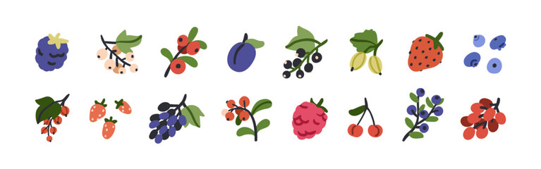 Berries set. Strawberry, blackberry, black and red currant, blueberry, bilberry, raspberry, cherry, grape branch, plum, gooseberry fruits. Flat vector illustration isolated on white background
