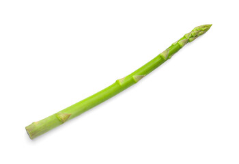 Fototapeta premium One fresh green asparagus stem isolated on white, top view