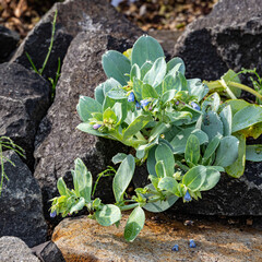 梅雨が明けぬ朝