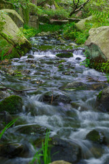 森の中の小川
