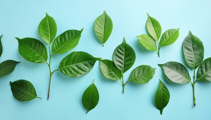Fototapeta premium Top view of lush green leaves on a soft light blue background, flat lay, natural botanical composition, fresh and vibrant foliage concept 