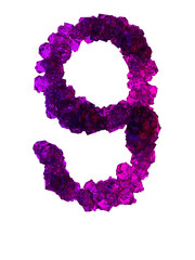 Number 9 made of many growing crystals in red and blue light, 3d rendering