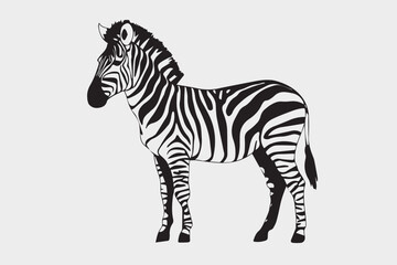 Fototapeta premium zebra vector illustration
