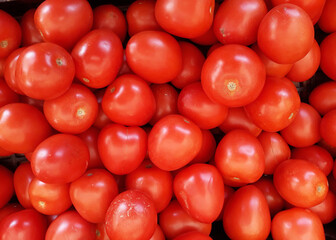 caja de tomate rojo para fondo