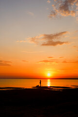Sea sandy beach. An inspiring beach, a seascape on the horizon. Orange and golden sunset sky, tranquility, soothing relaxing sunlight, summer mood. Banner for vacation, travel, holiday