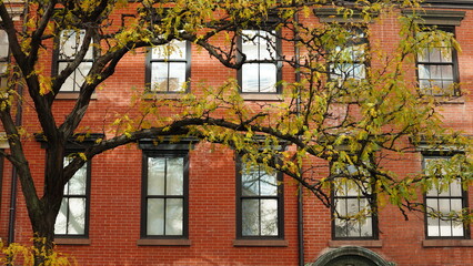The beautiful New York city view with the colorful autumn trees and buildings as background in autumn