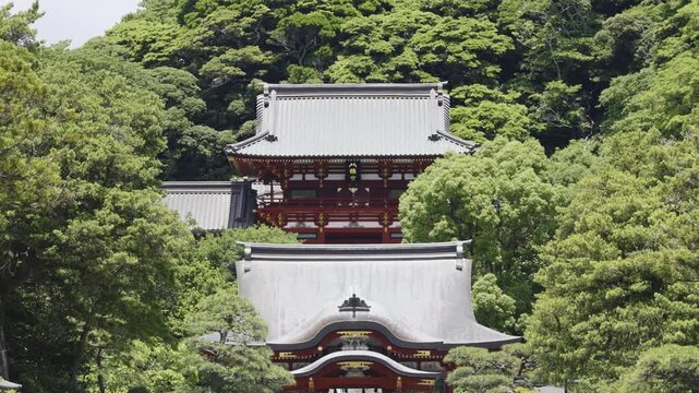鶴岡八幡宮」の写真素材 | 1,850件の無料イラスト画像 | Adobe Stock