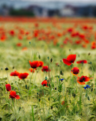 those who are standing aside - Die, die am Rande stehen