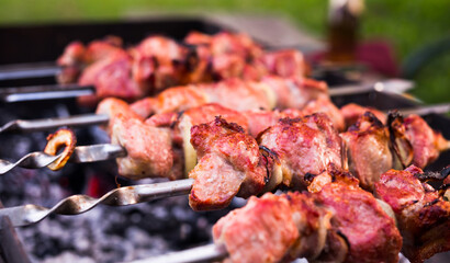Delicious juicy kebab on skewers, grilled