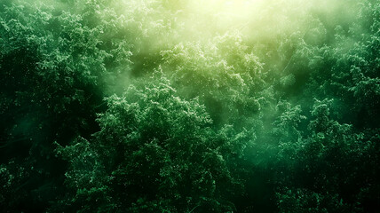 Fototapeta premium Green forest canopy in morning mist