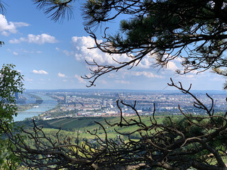 Vienna from a view from Kahlenberg including Danube with trees in the front