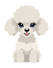 Cute white poodle puppy. Vector isolated illustration