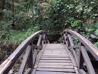 Morigerati - Ponte sul Fiume Bussento nell'Oasi WWF