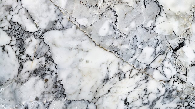 An elegant marble background with white and grey veining, showcasing the luxurious and timeless appeal of the material, with a polished and reflective surface adding depth and sophistication