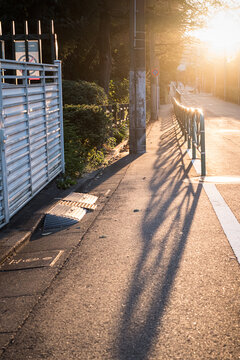 夕方の歩道と長い影
Evening sidewalks and long shadows