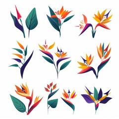 Bird of Paradise Flower Icon Set, Garden Strelitzia Flat Design, Abstract Strelitzia Reginae Symbol