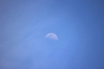 上弦の月　Halfmoon