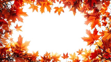 Fototapeta premium Autumn leaves frame with white background.